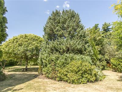 Picture 25